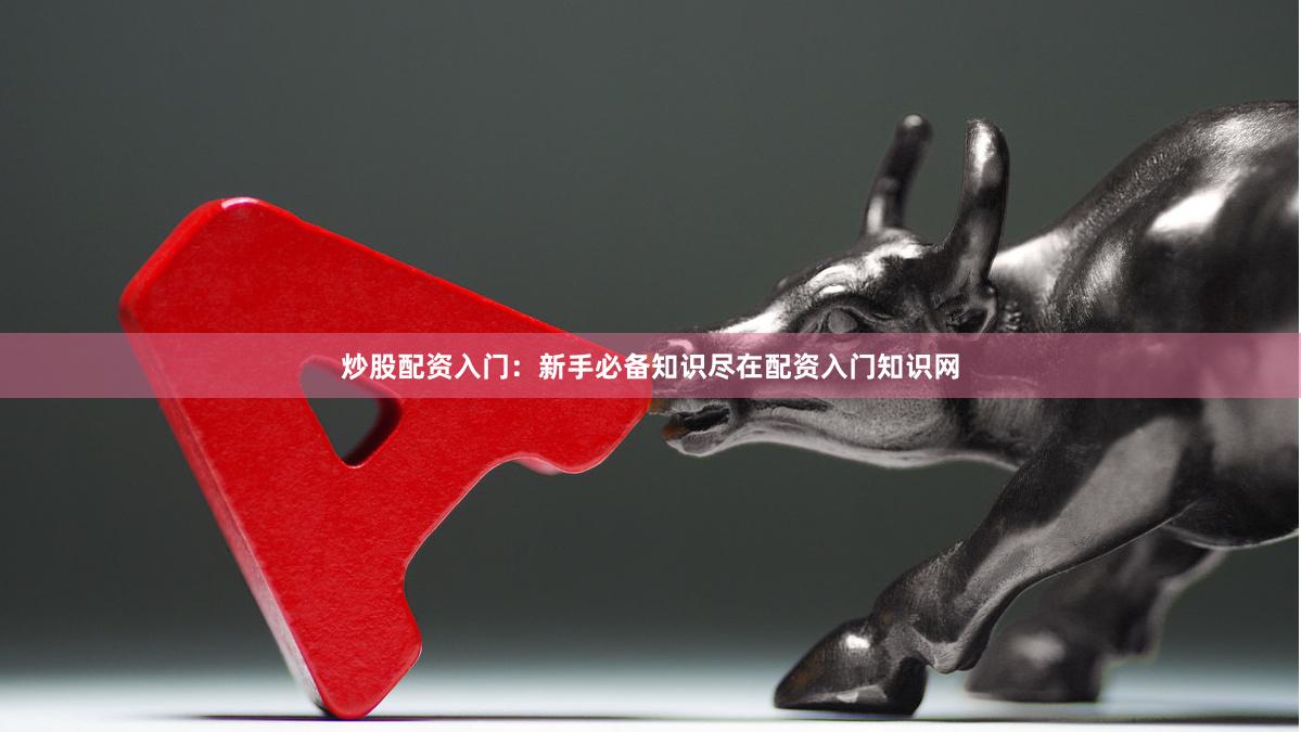 炒股配资入门：新手必备知识尽在配资入门知识网