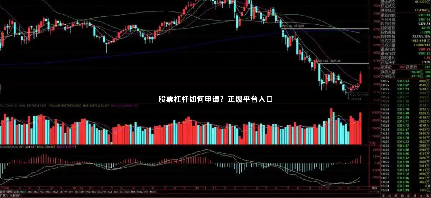 股票杠杆如何申请？正规平台入口