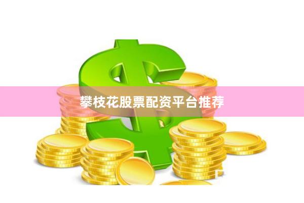 攀枝花股票配资平台推荐