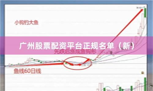 广州股票配资平台正规名单（新）